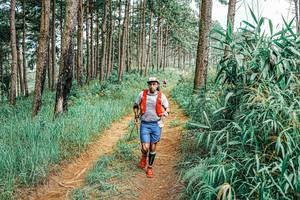 BIB: 
                            <button type="button" onclick="openModal(25686287)" class="btn btn-primary btn-sm float-right btn-popup" data-toggle="modal" data-target=".modal-high-quality">
                        <i class="fas fa-shopping-cart"></i> Add to Cart
                    </button>
                                            <button type="button" onclick="isThisMe(25686287, true)" class="btn btn-success btn-sm float-right btn-popup btn-isme hidden" data-toggle="tooltip" data-placement="bottom" title="นี่คือรูปของคุณใช่ไหม คลิกที่นี่เพื่อเอาเข้าอัลบั้ม">
                        <i class="fas fa-plus"></i> Add to album
                    </button>
                    <button type="button" onclick="isThisMe(25686287, false)" class="btn btn-warning btn-sm float-right btn-popup btn-isnotme hidden">
                        <i class="fas fa-ban"></i> Remove from album
                    </button>